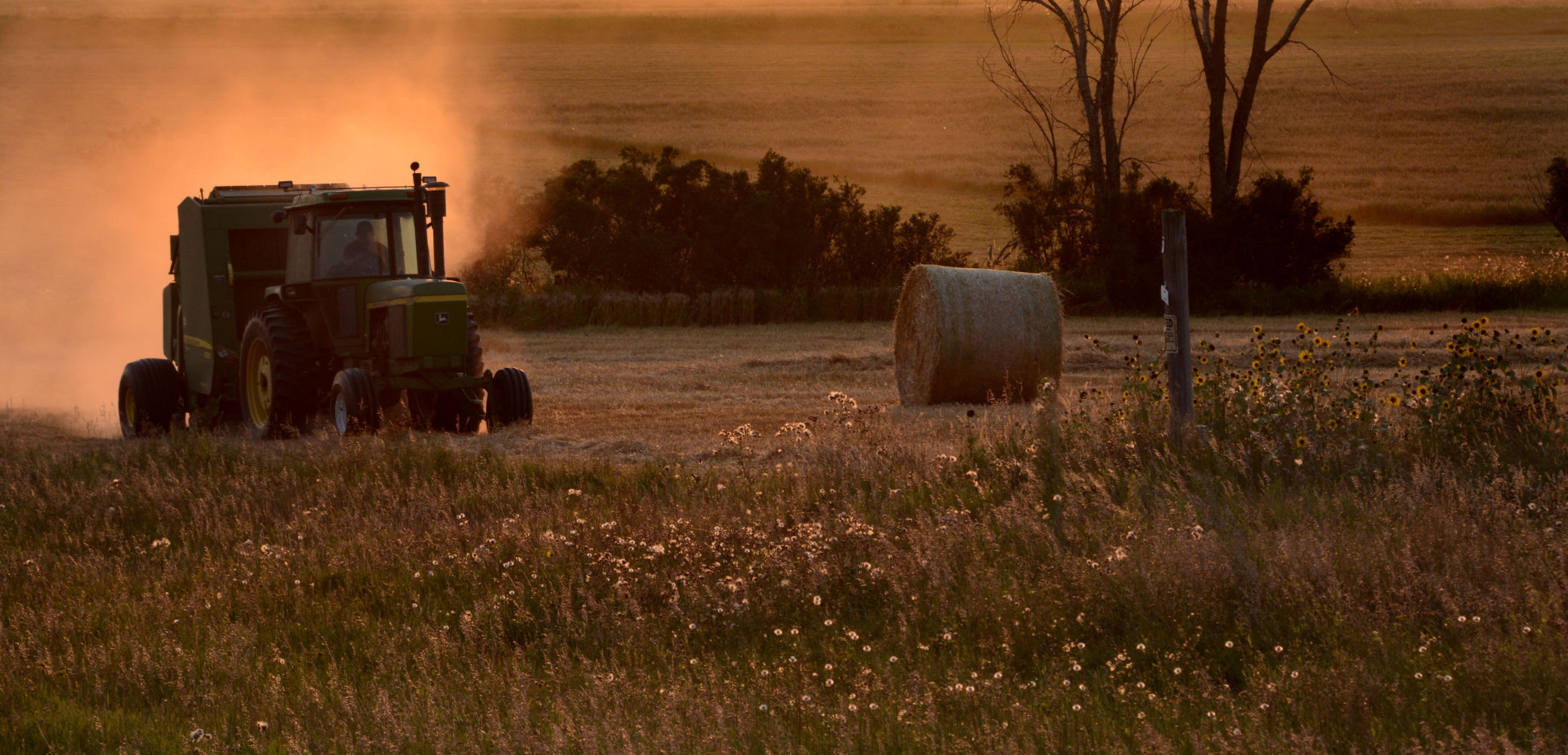 Baling the straw